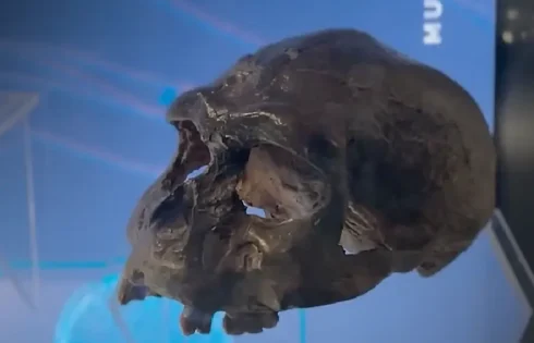 Saat itu sebuah penelitian mengungkap Homo erectus baru tiba di Pulau Jawa sekitar 1,3 juta tahun lalu, lebih lambat dari perkiraan sebelumnya.