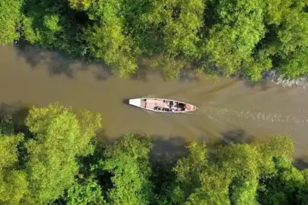 Kebun Raya Mangrove Surabaya