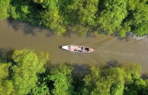 Kebun Raya Mangrove Surabaya