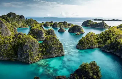 Raja Ampat menawarkan keindahan alam bawah laut kelas dunia yang terus menarik wisatawan dari berbagai negara.